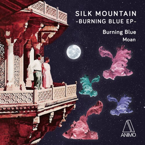 Silk Mountain - Burning Blue EP [ANIMO034]